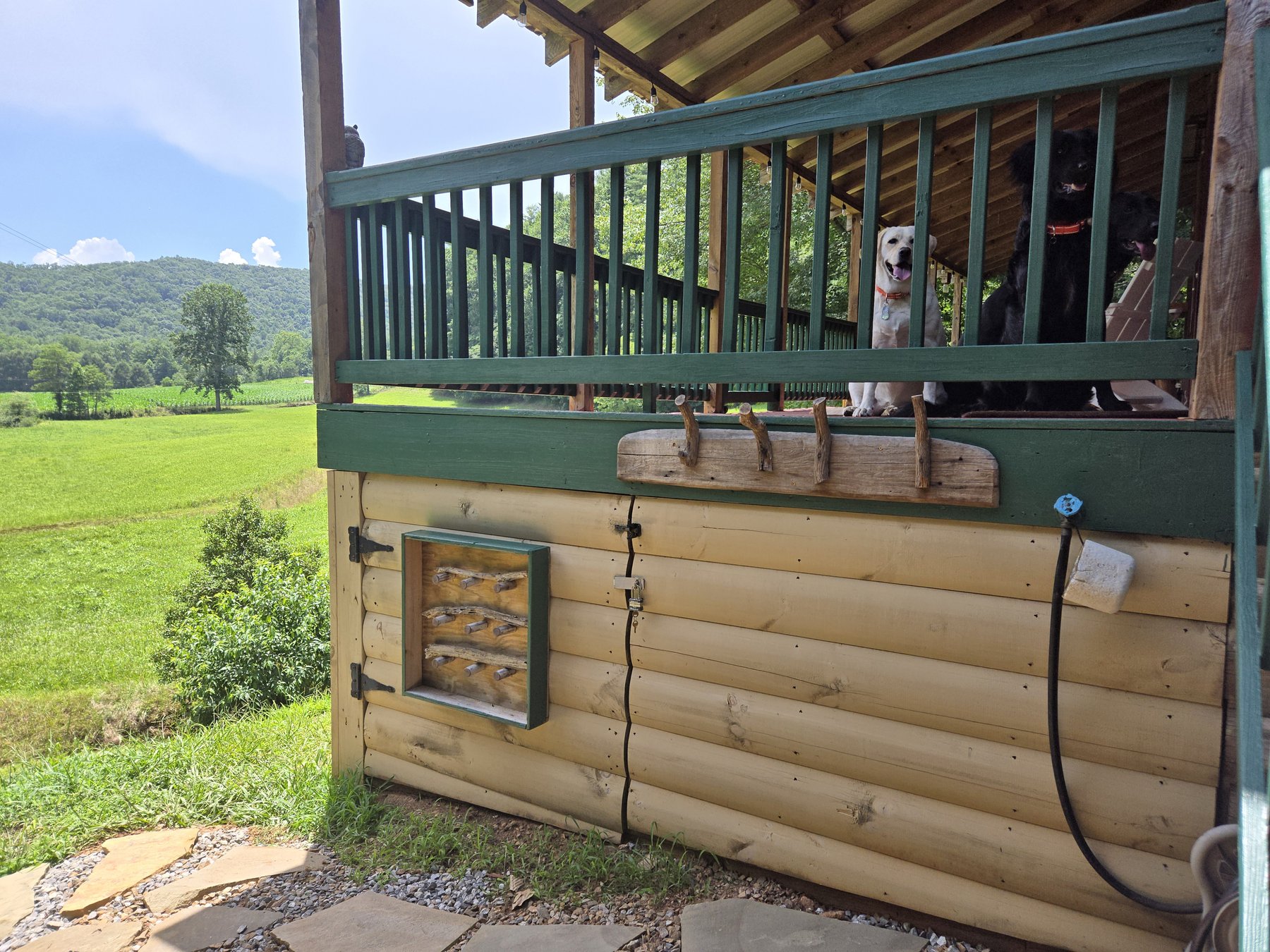 Dog washing station at Headwaters cabin in Suches, GA