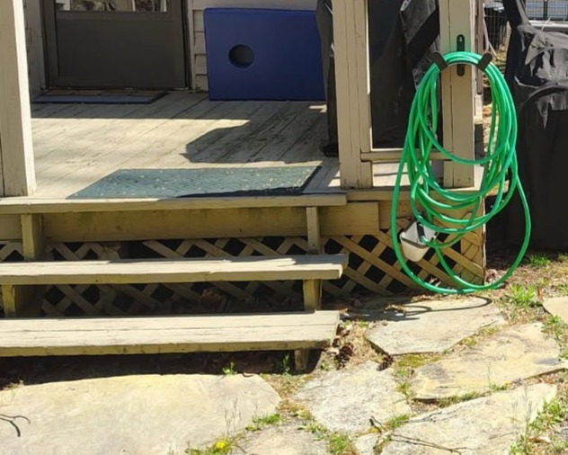 Dog washing station