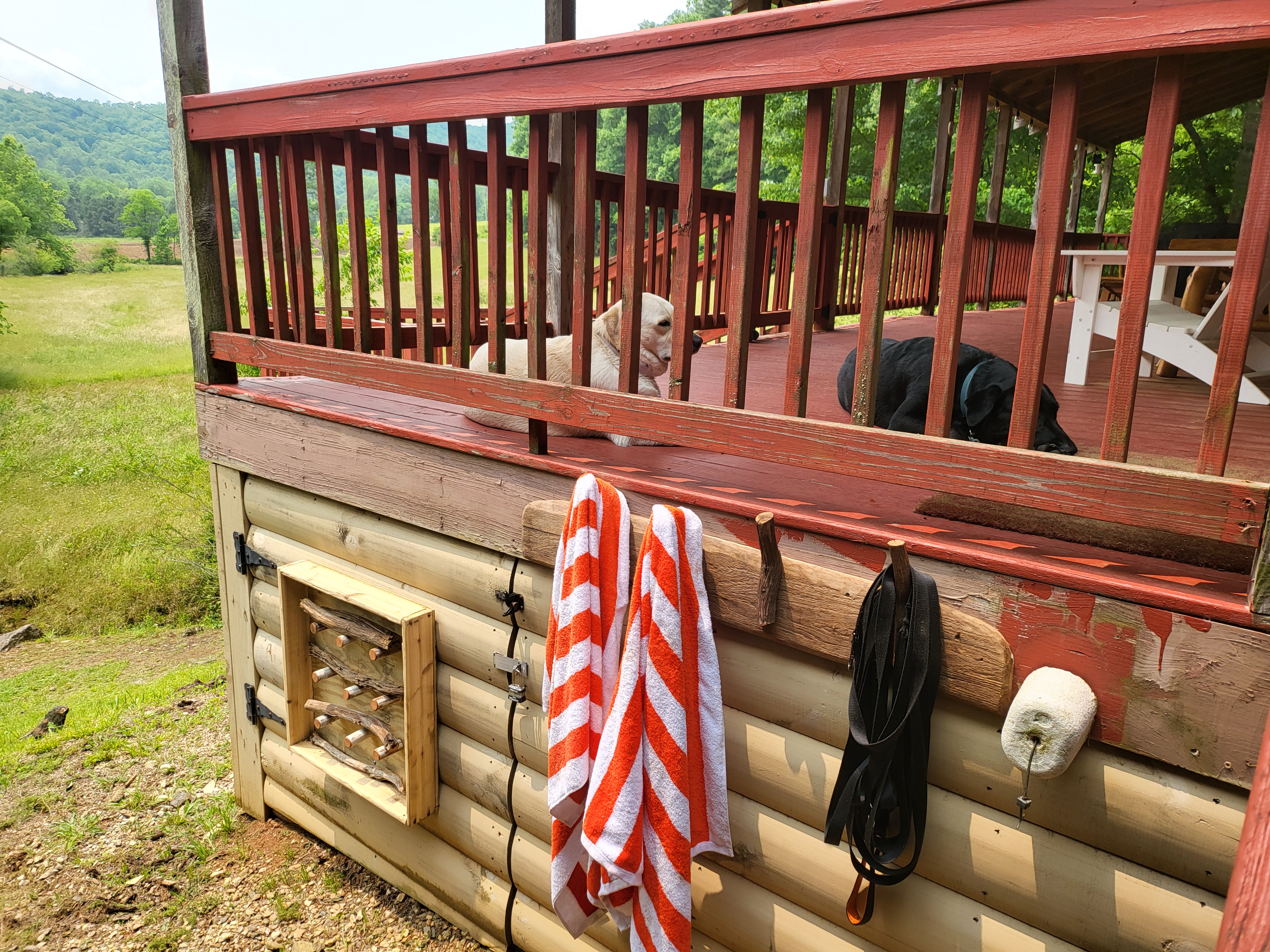 Dog washing station