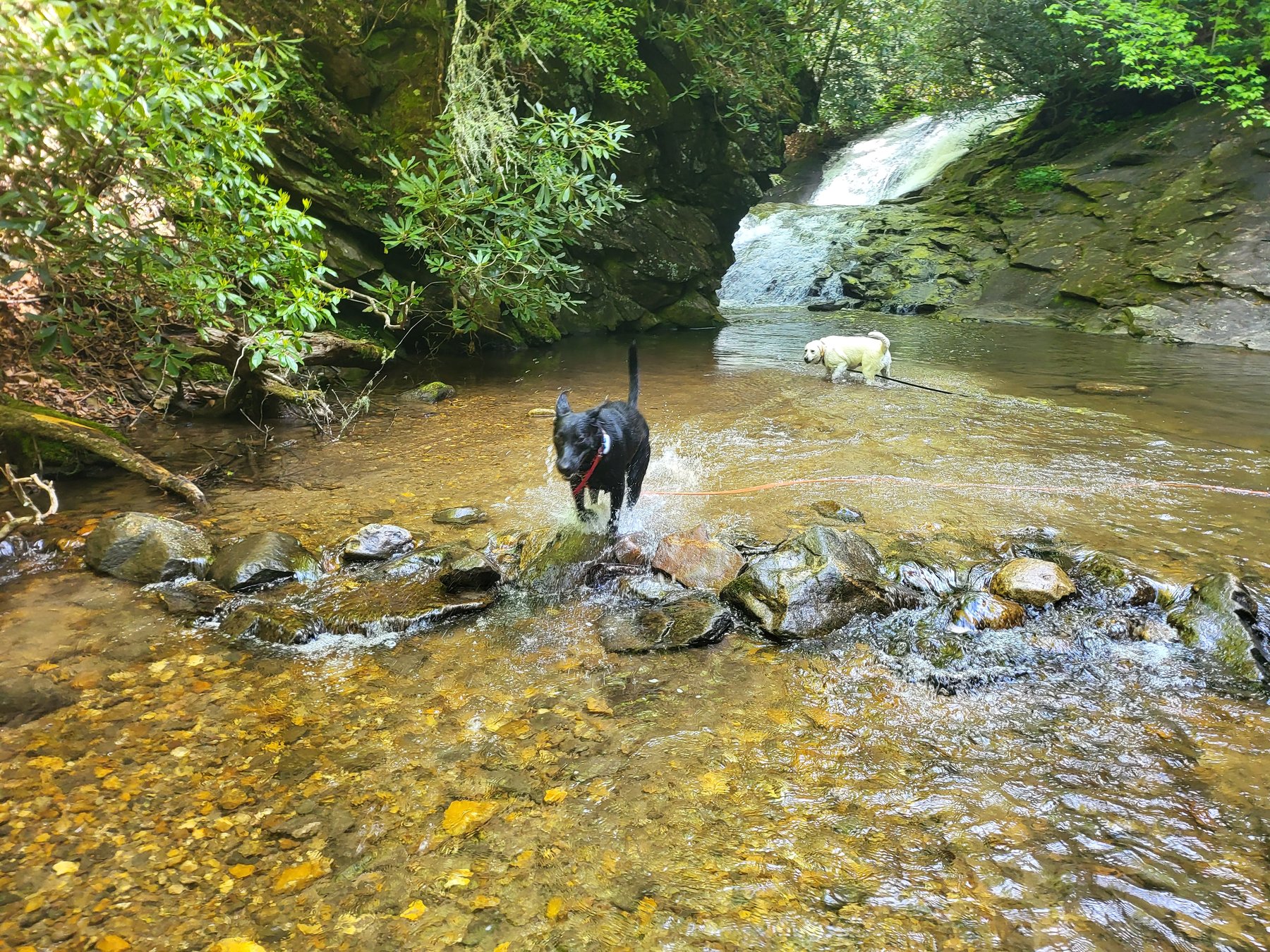 Waterfalls near the cabins in North Georgia