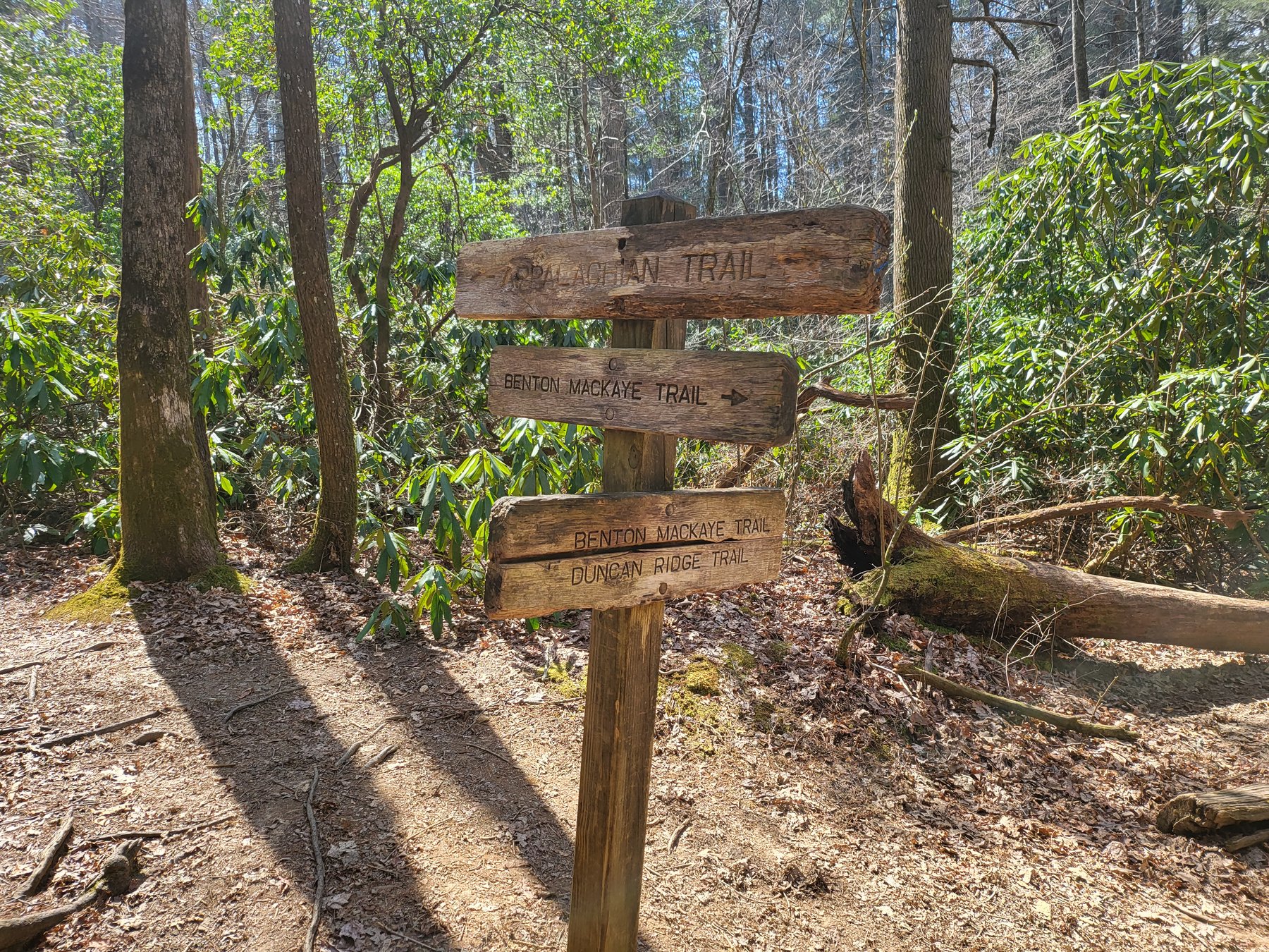 Hiking the AT and Benton MacKaye Trail in North Georgia