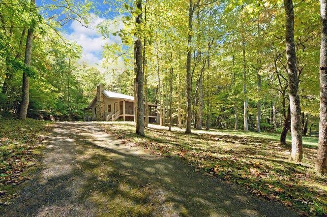 Tall forest surrounding a cabin in Suches GA in the Chattahoochee National Forest